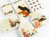 Σετ Αλληλογραφίας - Steinlen | Pepin