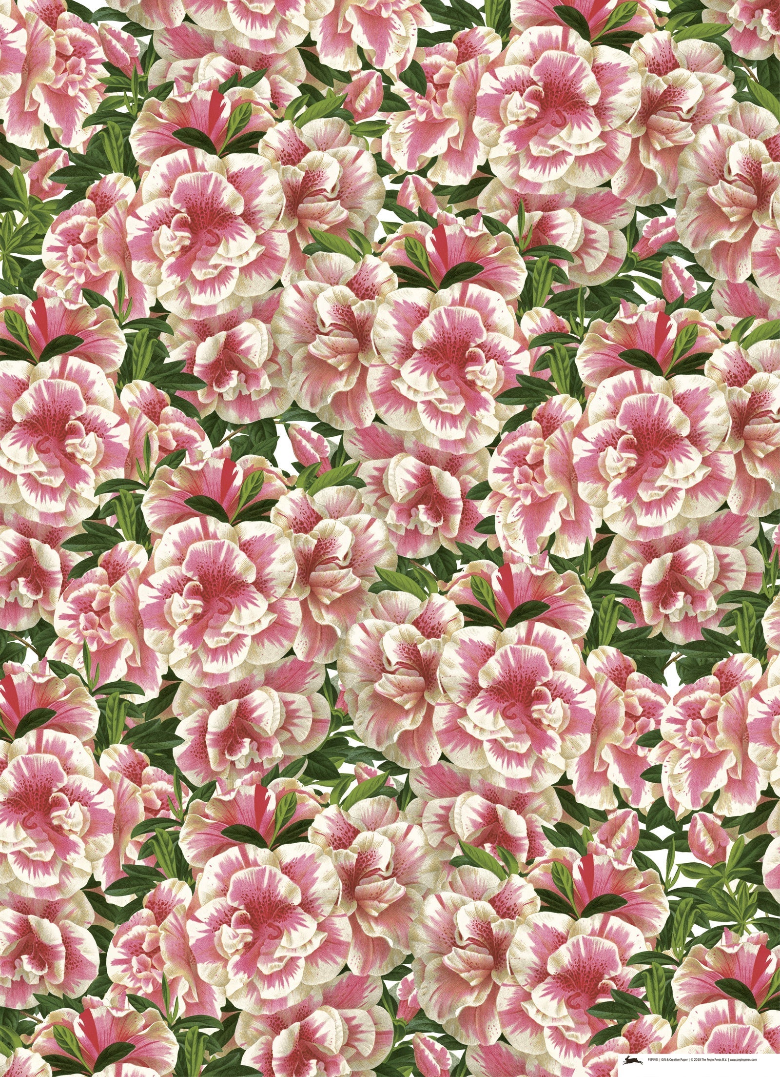Gift & creative papers - Flower Prints
