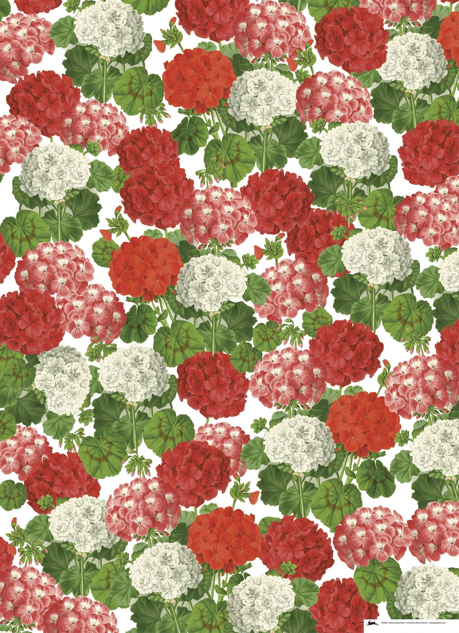 Gift & creative papers - Flower Prints