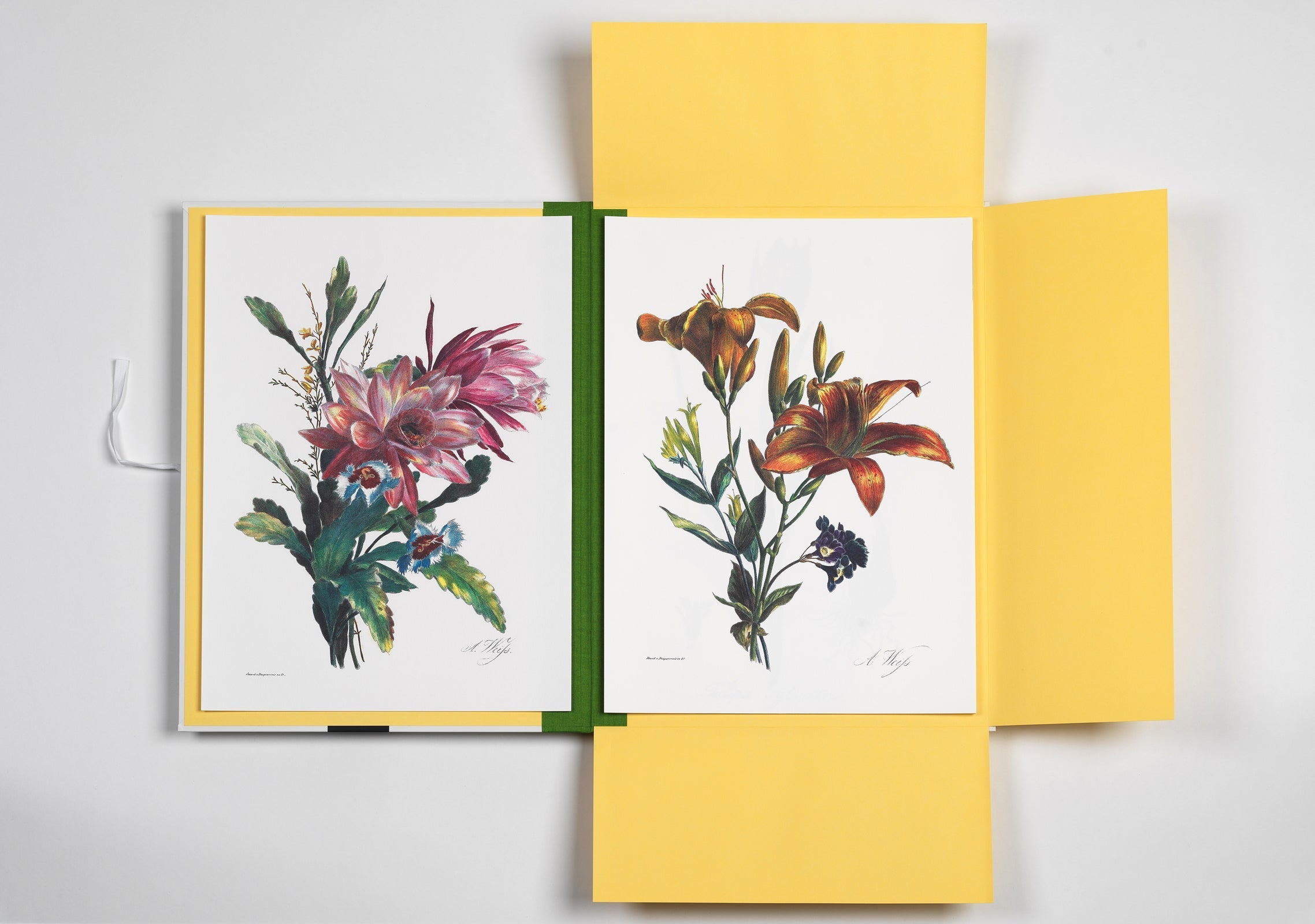 Portfolio Τέχνης - Flower Prints | Pepin