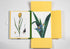 Portfolio Τέχνης - Flower Prints | Pepin