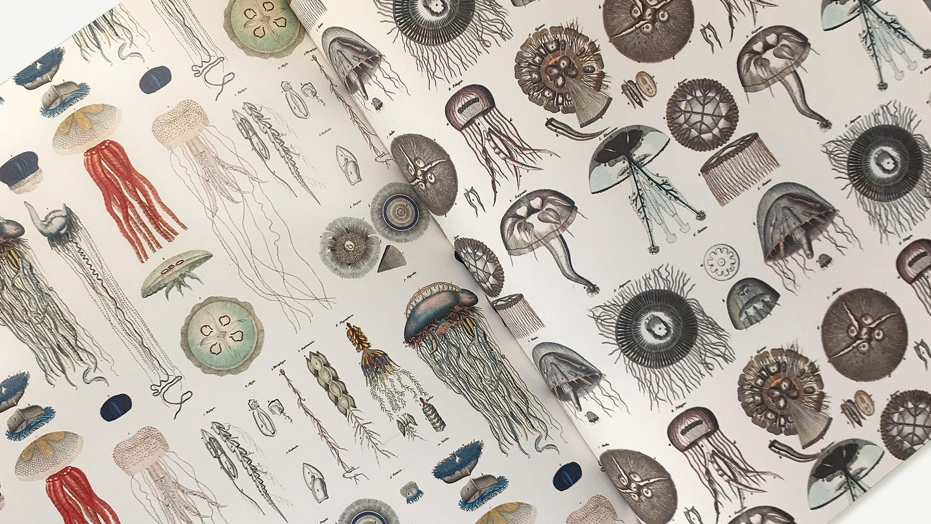 Gift & creative papers - Marine