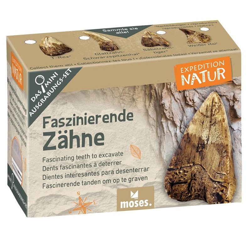 6 σετ ανασκαφής Expedition Natur